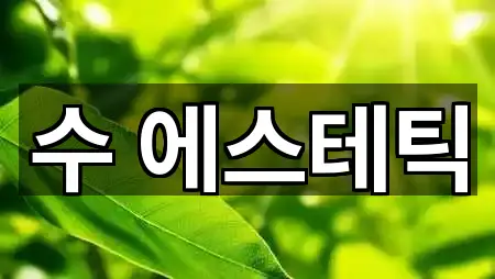 수 에스테틱