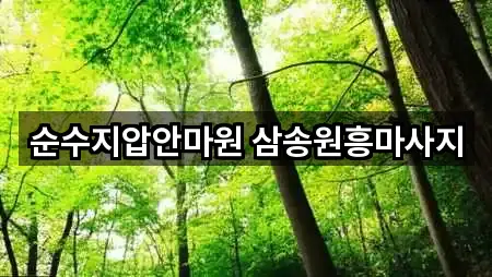 순수지압안마원 삼송원흥마사지