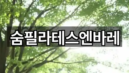 숨필라테스엔바레