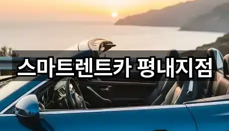 경기 남양주 평내동 렌트카 위치/주소 한 번에 5건