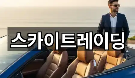 스카이트레이딩