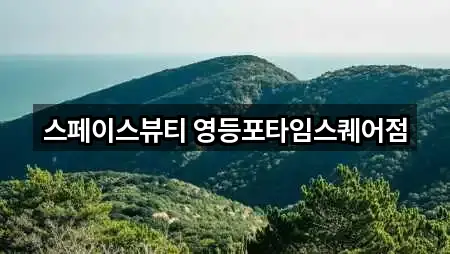 브리핑 | 서울특별시 영등포동 에스테틱 5곳