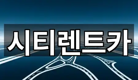 경상남도 함안군 가야읍 렌트카 심야 운영 3곳