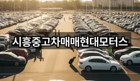 시흥시 논곡동 중고차 연락하기 5곳