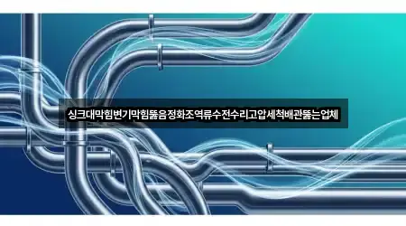 싱크대막힘변기막힘뚫음정화조역류수전수리고압세척배관뚫는업체