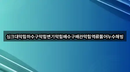 싱크대막힘하수구막힘변기막힘배수구배관막힘역류뚫어누수해빙