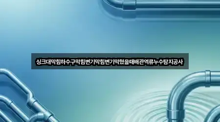 싱크대막힘하수구막힘변기막힘변기막혔을때배관역류누수탐지공사