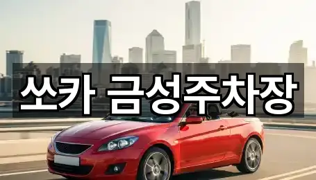 쏘카 금성주차장