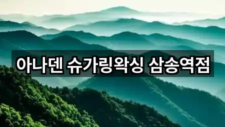 아나덴 슈가링왁싱 삼송역점