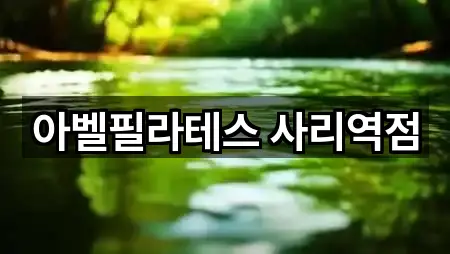 안산시 상록구 사동 필라테스 신규/인기 5곳