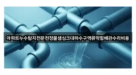 아파트누수탐지전문천정물샘싱크대하수구역류막힘배관수리비용