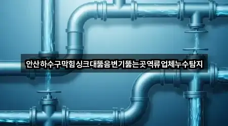 안산하수구막힘싱크대뚫음변기뚫는곳역류업체누수탐지