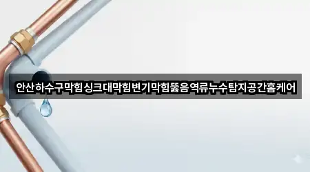 안산하수구막힘싱크대막힘변기막힘뚫음역류누수탐지공간홈케어