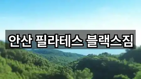 안산 필라테스 블랙스짐