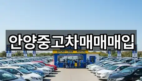 안양중고차매매매입