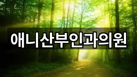 애니산부인과의원