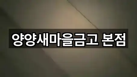 양양새마을금고 본점