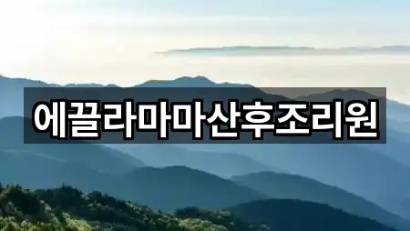고양시 덕양구 동산동 산후조리원 2곳 지도 한눈정리