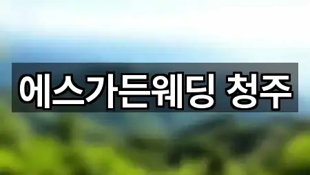 에스가든웨딩 청주