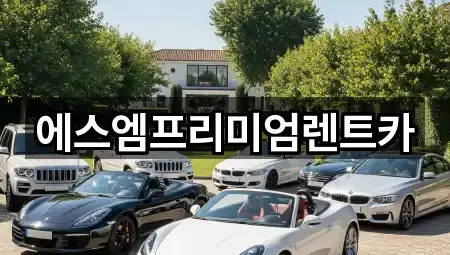 즉시 지도: 경기 권선구 렌트카 5곳