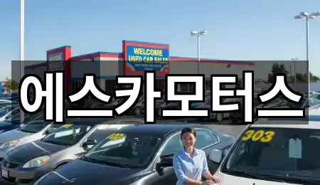 성남 은행동 중고차 즉시 연결 5곳