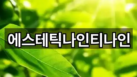 에스테틱나인티나인
