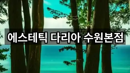 에스테틱 다리아 수원본점