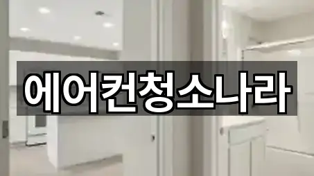 서울 동작동 청소업체 5곳 — 한눈에