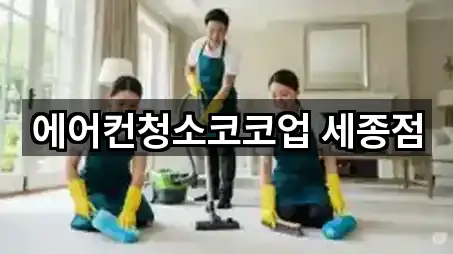 세종특별자치 해밀동 청소업체 5곳 쉽게 찾기