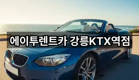 강원 강릉시 포남동 렌트카 리뷰 확인 5건