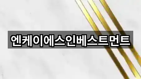 엔케이에스인베스트먼트