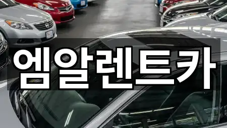 대구광역시 달성군 하빈면 장기렌트카 1곳 위치만 보기