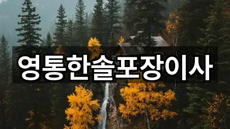 영통한솔포장이사