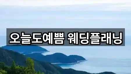 오늘도예쁨 웨딩플래닝