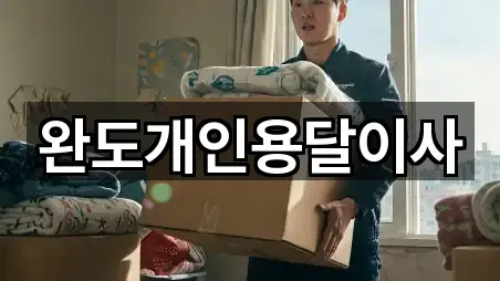 완도군 신지면 용달이사 주소만 모아보기 5건