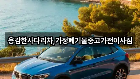 빠른정리 | 대전광역시 동구 사성동 중고차 2곳