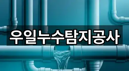 우일누수탐지공사