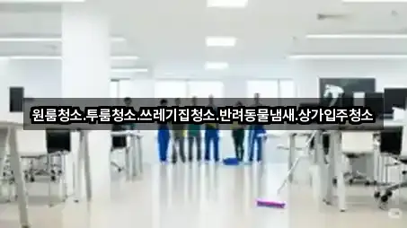 지금 예약 | 대전광역시 동구 원동 청소 5곳