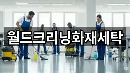 월드크리닝화재세탁