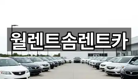 월렌트솜렌트카