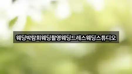 웨딩박람회웨딩촬영웨딩드레스웨딩스튜디오