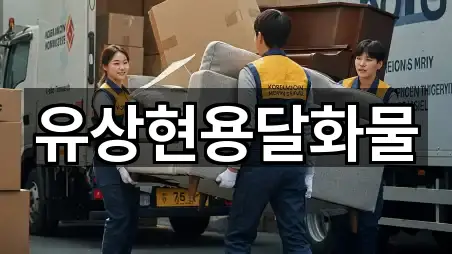 유상현용달화물