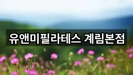 5곳 광주광역시 동구 계림동 필라테스 주소만 보기