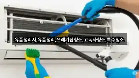 총정리 | 충남 은하면 상가청소 1곳