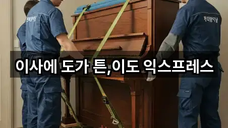 이사에 도가 튼,이도 익스프레스