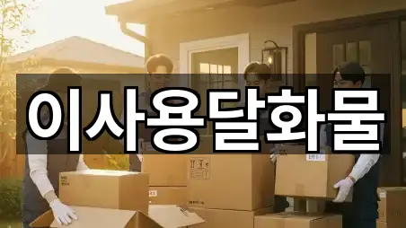 대전광역시 동구 상소동 이사 5곳 지도 빠른접속