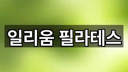 일리움 필라테스