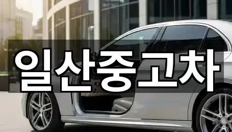 경기도 고양 일산동구 설문동 중고차 가격/비용 5곳