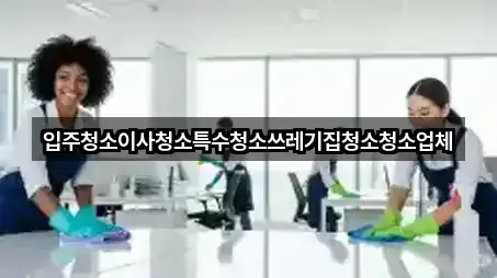 인천광역시 강화군 양도면 청소 바로 보기 5곳