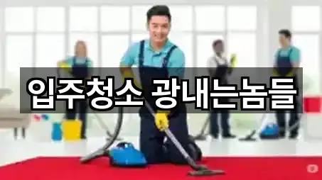 입주청소 광내는놈들